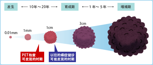 癌细胞发生～增殖期